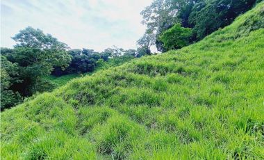 VENDO FINCA 125 HA-CON BOSQUE Y RIO DE AGUA VIVA