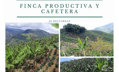 Finca productiva y cafetera vía Caicedonia- Sevilla 4792
