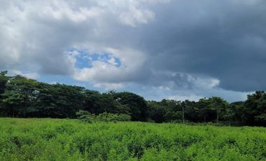 FINCA PARA VENTA DE 27 HECTAREAS EN CLEMENCIA, BOLÍVAR