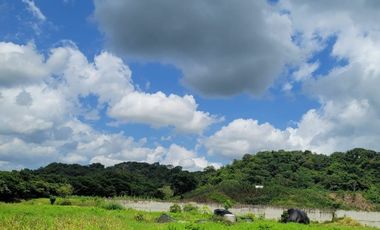 FINCA PARA VENTA DE 27 HECTAREAS EN CLEMENCIA, BOLÍVAR