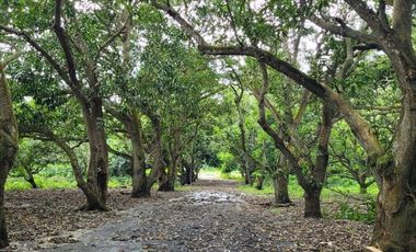 FINCA PARA VENTA DE 27 HECTAREAS EN CLEMENCIA, BOLÍVAR