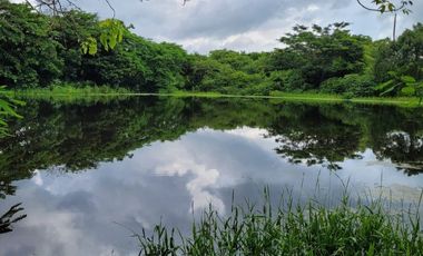 FINCA PARA VENTA DE 27 HECTAREAS EN CLEMENCIA, BOLÍVAR