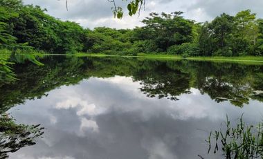 FINCA PARA VENTA DE 27 HECTAREAS EN CLEMENCIA, BOLÍVAR
