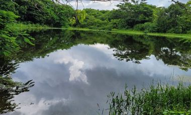 FINCA PARA VENTA DE 27 HECTAREAS EN CLEMENCIA, BOLÍVAR