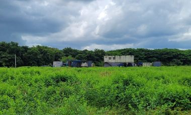 FINCA PARA VENTA DE 27 HECTAREAS EN CLEMENCIA, BOLÍVAR