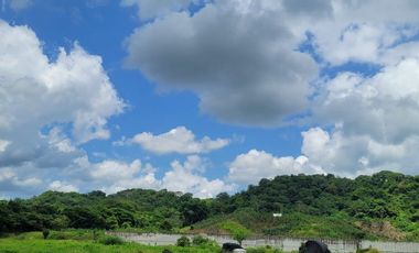 FINCA PARA VENTA DE 27 HECTAREAS EN CLEMENCIA, BOLÍVAR