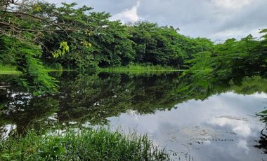 FINCA PARA VENTA DE 27 HECTAREAS EN CLEMENCIA, BOLÍVAR