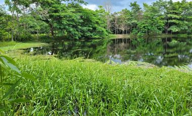 FINCA PARA VENTA DE 27 HECTAREAS EN CLEMENCIA, BOLÍVAR