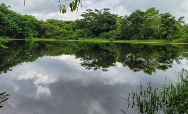 FINCA PARA VENTA DE 27 HECTAREAS EN CLEMENCIA, BOLÍVAR