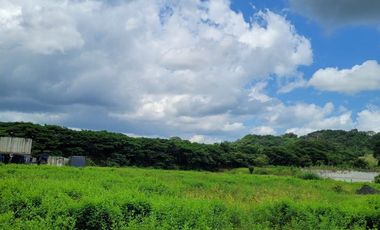 FINCA PARA VENTA DE 27 HECTAREAS EN CLEMENCIA, BOLÍVAR
