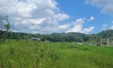 FINCA PARA VENTA DE 27 HECTAREAS EN CLEMENCIA, BOLÍVAR