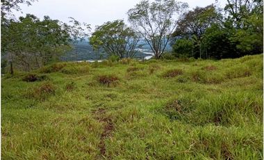 VENTA LOTE U/C LA PINTADA , SUROESTE ANTIOQUEÑO