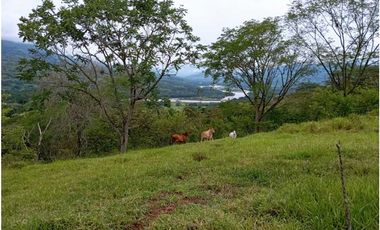 VENTA LOTE U/C LA PINTADA , SUROESTE ANTIOQUEÑO