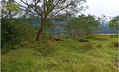 VENTA LOTE U/C LA PINTADA , SUROESTE ANTIOQUEÑO