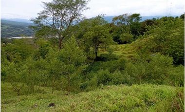 VENTA LOTE U/C LA PINTADA , SUROESTE ANTIOQUEÑO