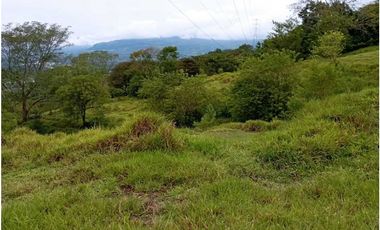 VENTA LOTE U/C LA PINTADA , SUROESTE ANTIOQUEÑO