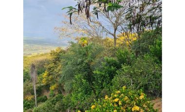 VENTA LOTE U/C LA PINTADA , SUROESTE ANTIOQUEÑO