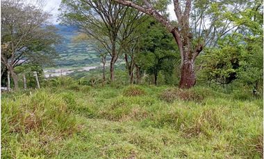 VENTA LOTE U/C LA PINTADA , SUROESTE ANTIOQUEÑO