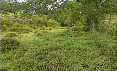 VENTA LOTE U/C LA PINTADA , SUROESTE ANTIOQUEÑO