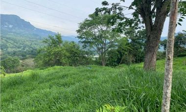 VENTA LOTE U/C LA PINTADA , SUROESTE ANTIOQUEÑO