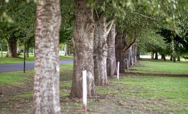 LOTE EN VENTA - BARRIO PRIVADO ESTANCIA LA RINCONADA- IBARLUCEA