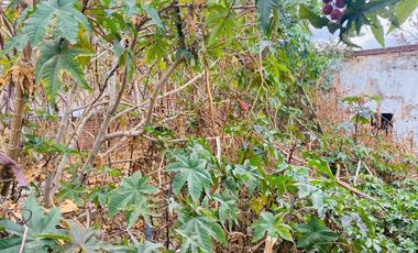 TERRENO EN RENTA EN COACALCO CENTRO