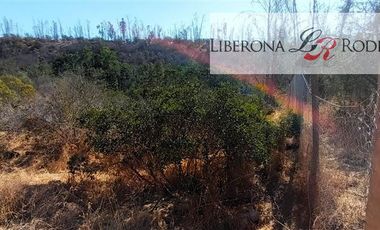 Parcela en Venta en Parcela en Villa Alemana