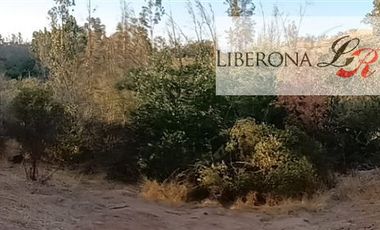 Parcela en Venta en Parcela en Villa Alemana