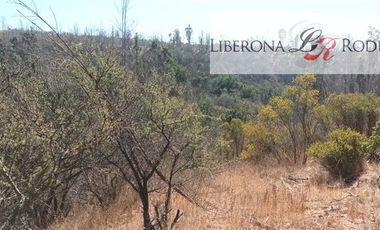 Parcela en Venta en Parcela en Villa Alemana