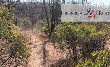 Parcela en Venta en Parcela en Villa Alemana