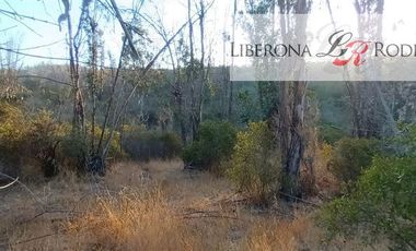 Parcela en Venta en Parcela en Villa Alemana