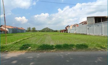 Tanah Kavling Godean, Tepi Jalan: Cicil 12X