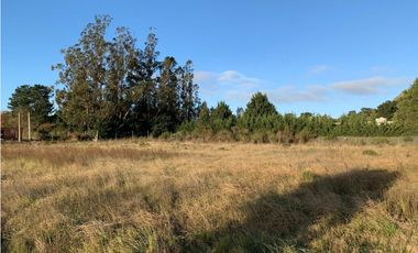 Loteo en excelente ubicación (26 y 59 bis) LOTE 2 y 5