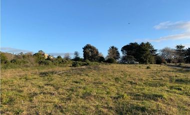 Loteo en excelente ubicación (26 y 59 bis) LOTE 2 y 5