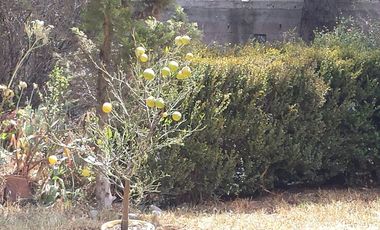 SE VENDE CASAEN TEPOTZOTLAN  SOLO EFECTIVO