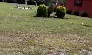 QUINTA EN VENTA EN SANTIAGO, NUEVO LEÓN