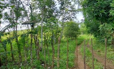 Se vende terreno en Río Chico, Pacora