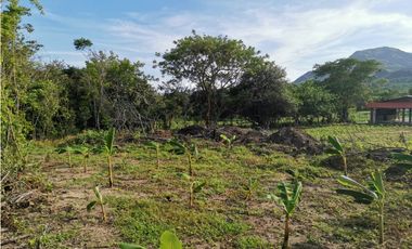 SE VENDE o ALQUILA TERRENO EN PENONOME