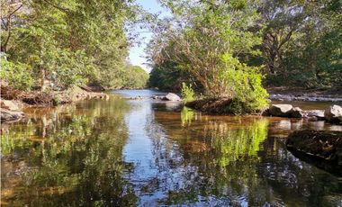SE VENDE o ALQUILA TERRENO EN PENONOME