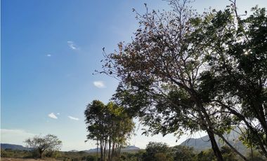 SE VENDE o ALQUILA TERRENO EN PENONOME