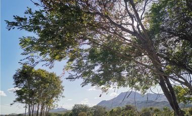 SE VENDE o ALQUILA TERRENO EN PENONOME