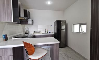 Renta Departamento Amueblado, Lomas de Angelopolis, Park view, Distrito Sonata