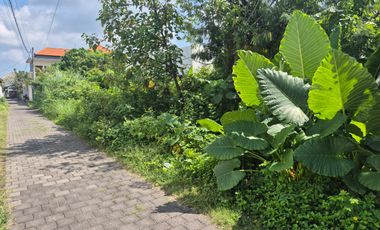 Freehold - Rare opportunity sale Land in Prime location Umalas, Bali