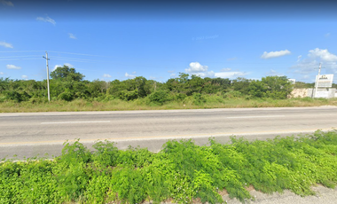 VENTA TERRENO 4.9 HA AL PIE DE CARRETERA MERIDA-MOTUL MOCOCHA  YUCATAN