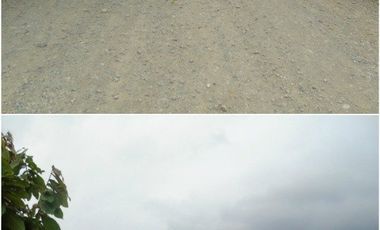 VENTA/FINCA CACAOTERA/GUANABANA/EN PRODUCCIÓN/LOS RÍOS