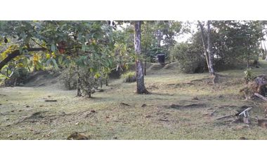 VENDO HERMOSA FINCA VERANERA, ACACIAS, META