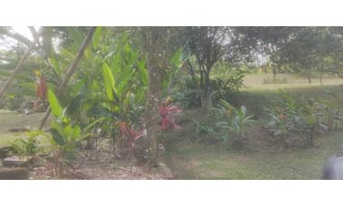 VENDO HERMOSA FINCA VERANERA, ACACIAS, META