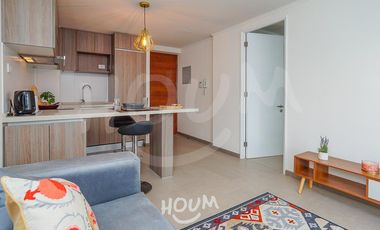 Departamento Industrial santa carolina ID: 126894r