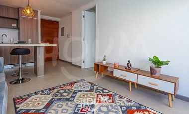 Departamento Industrial santa carolina ID: 126894r