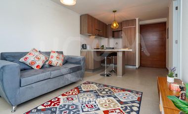 Departamento Industrial santa carolina ID: 126894r